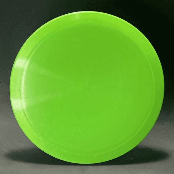 Above Ground Level Elm