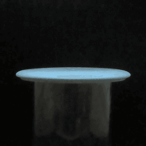 Daredevil Discs Walrus