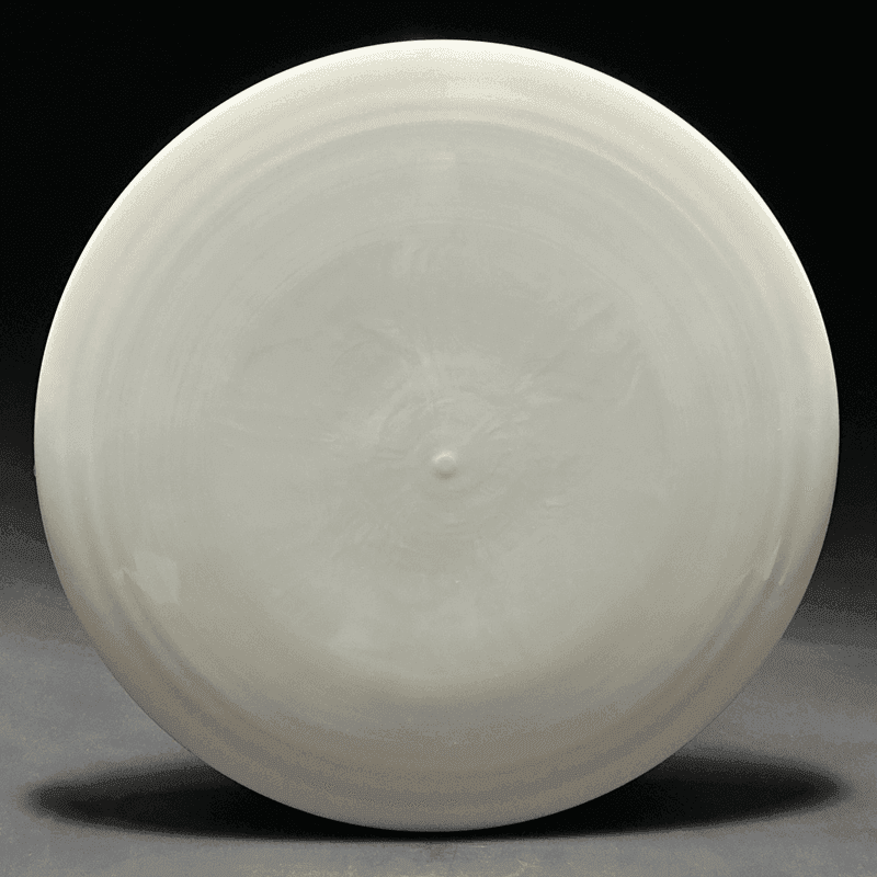 Dynamic Discs Motive