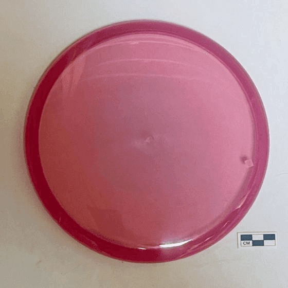 Jester Disc Golf Love