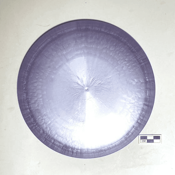 Neptune Discs Marlin