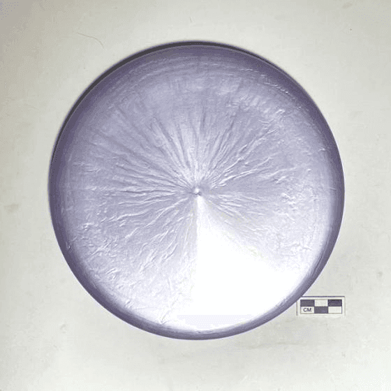 Neptune Discs Splash