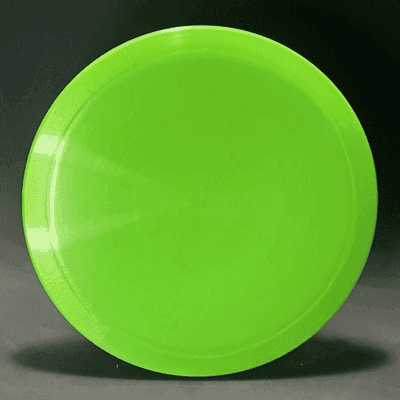 Above Ground Level Elm