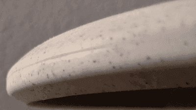 Above Ground Level Ponderosa