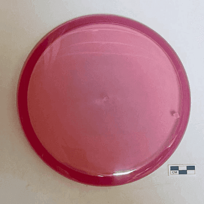 Jester Disc Golf Love