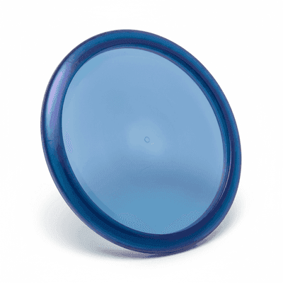 Viking Warrior (Viking)