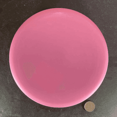 Wild Discs Sea Otter