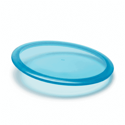 Mint Discs Goat