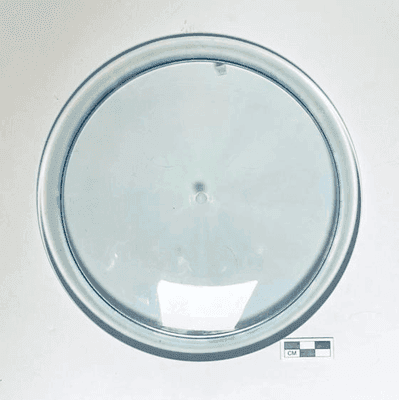 Mint Discs Salamander