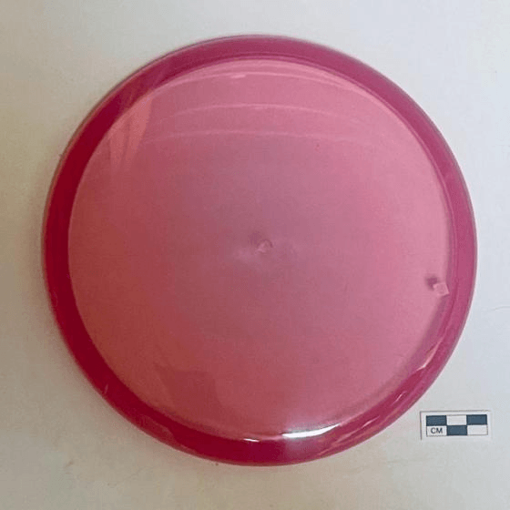 Jester Disc Golf Love